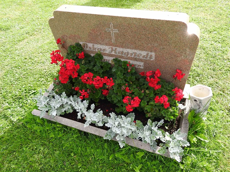 Hautatunnus: BRO 10    27