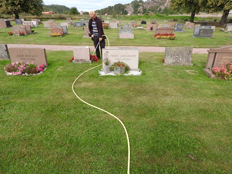 Hautatunnus: BRO 10    43