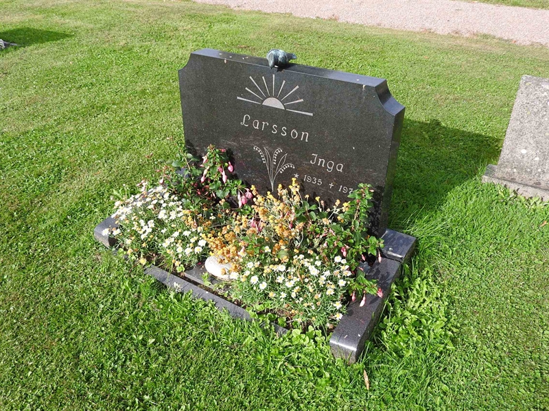 Hautatunnus: BRO 10    45