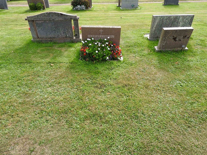 Hautatunnus: BRO 10    66