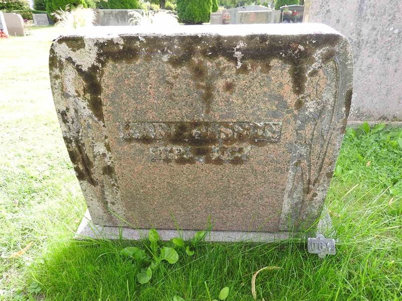 Hautatunnus: BRO 10    61