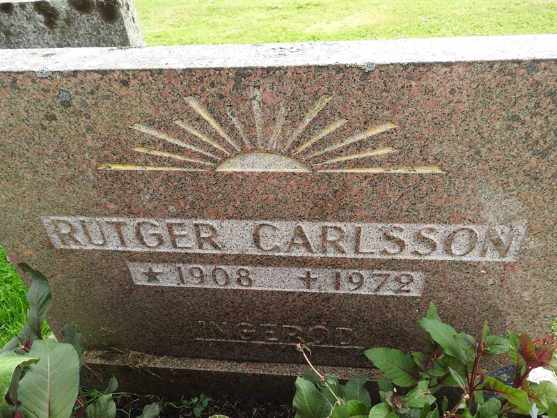 Hautatunnus: BRO 10    64