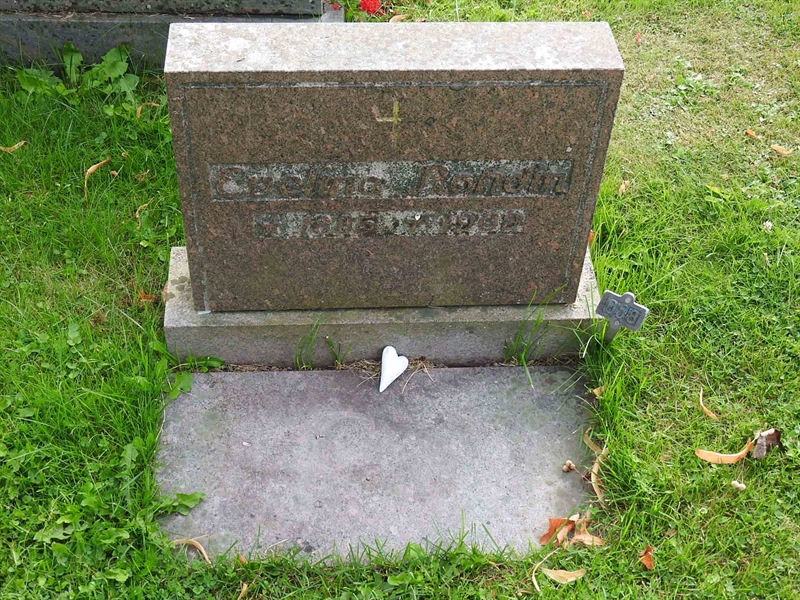 Hautatunnus: BRO 10    58