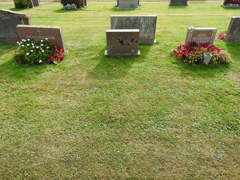 Hautatunnus: BRO 10    67