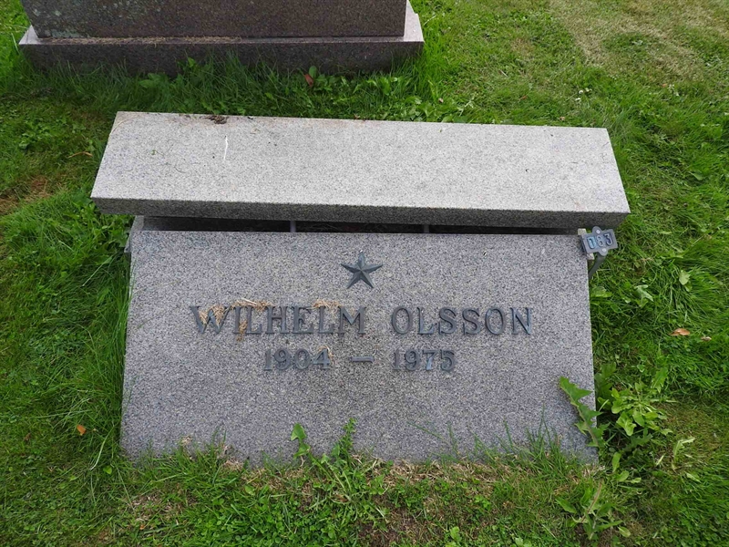 Hautatunnus: BRO 10    83