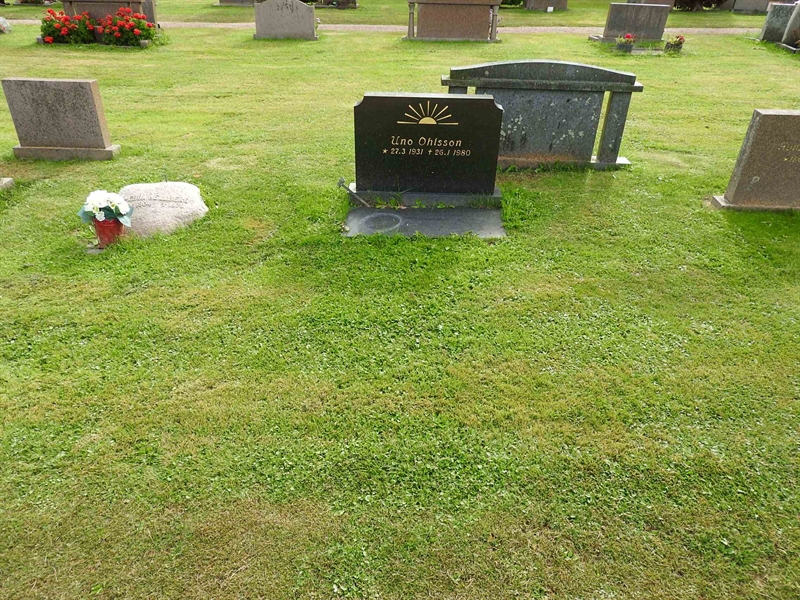 Hautatunnus: BRO 10    81