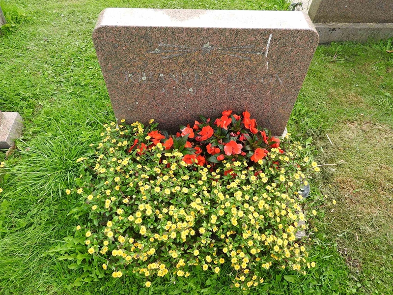 Hautatunnus: BRO 10    86