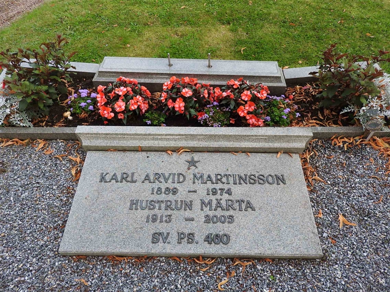 Hautatunnus: BRO 11    18