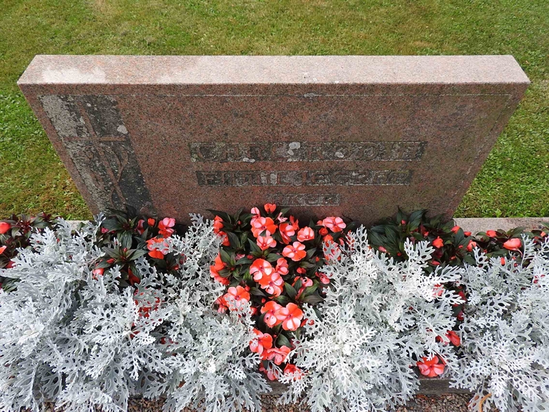 Hautatunnus: BRO 11     4