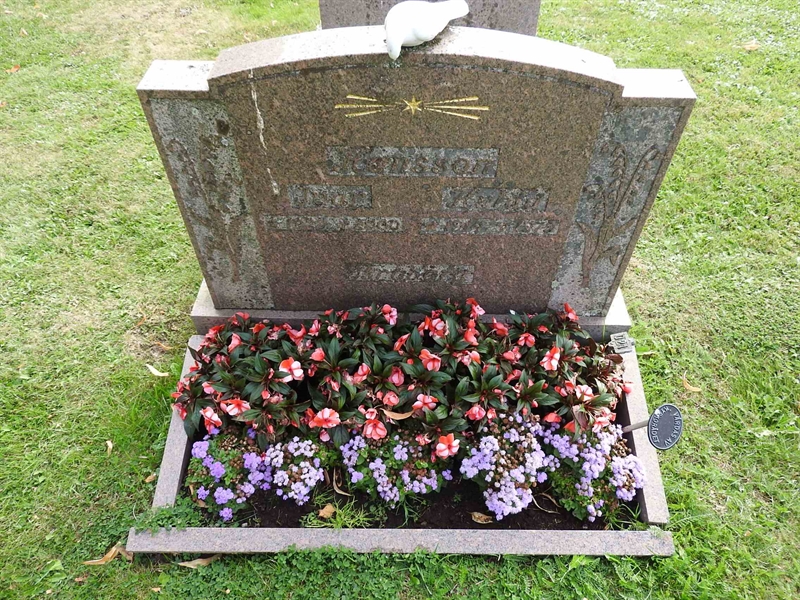 Hautatunnus: BRO 13    21