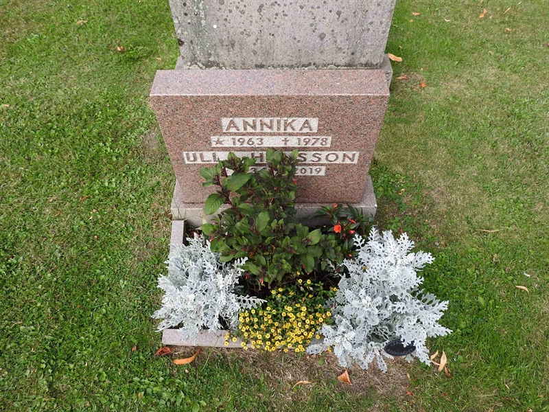 Hautatunnus: BRO 13     3