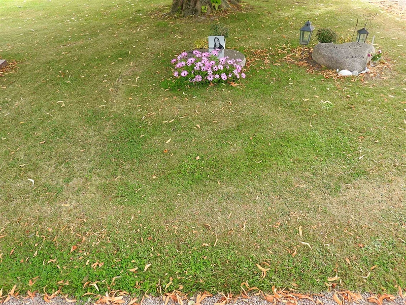 Gravnummer: BRO 19    86