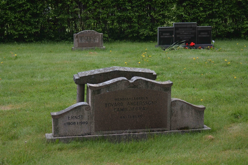 Grave number: SRN 2   236