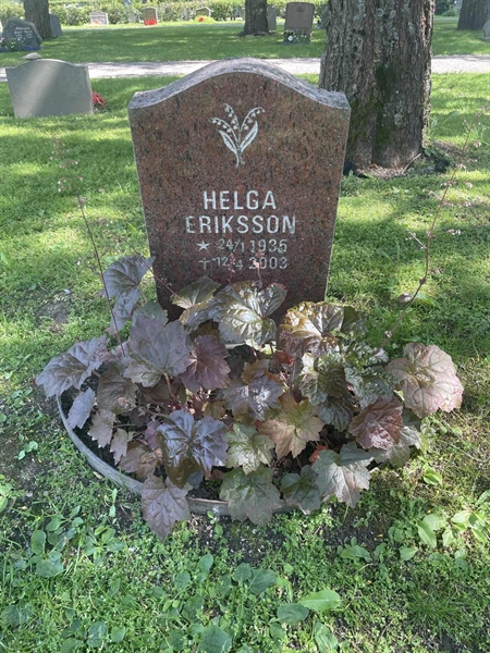 Grave number: H 8    96
