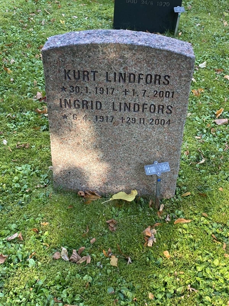 Gravnummer: 1 H   392