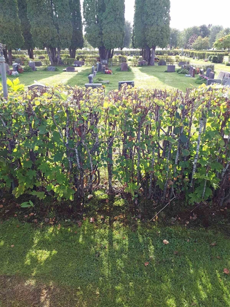 Grave number: NK F B   201