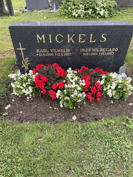 Gravnummer: N 4 3   312