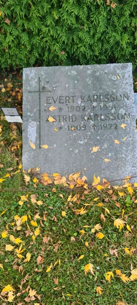 Grave number: M H   45, 46