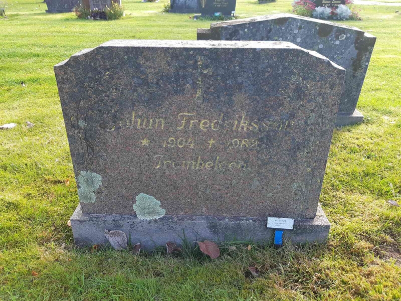 Grave number: Fr 8   529
