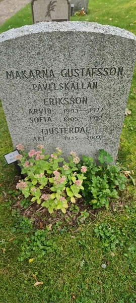 Grave number: M V  183, 183a