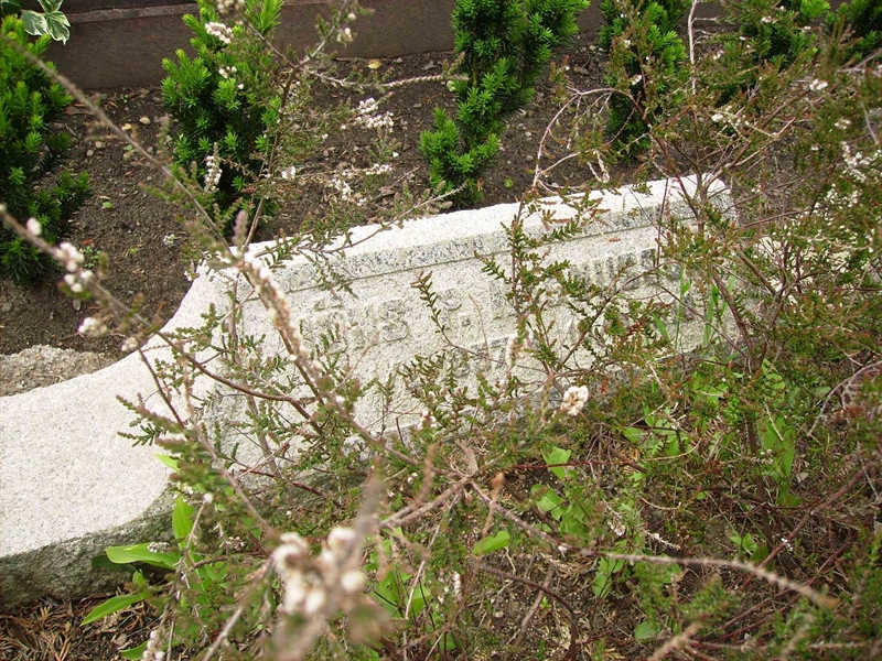 Grave number: LM 2 18  142