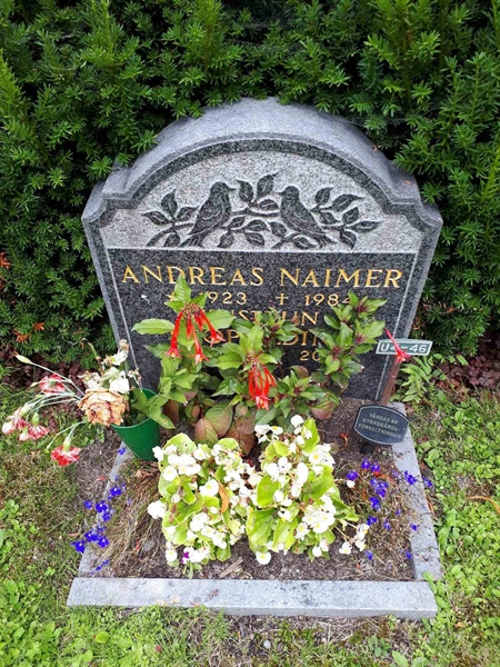 Hautatunnus: GK U 4    46