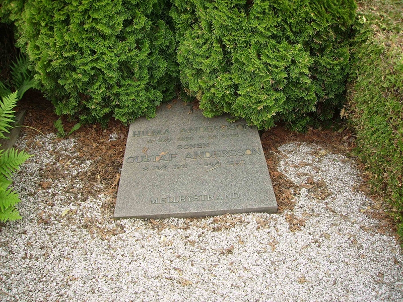 Grave number: LM 2 18  067