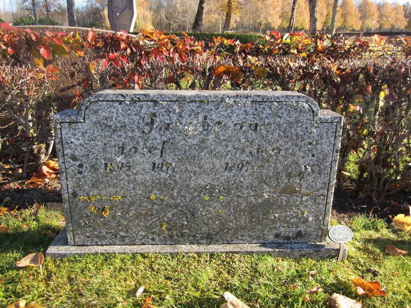 Grave number: 1 36    28-29