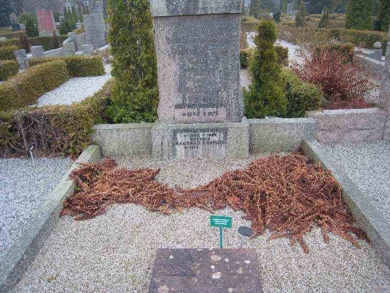 Grave number: NK IV    74