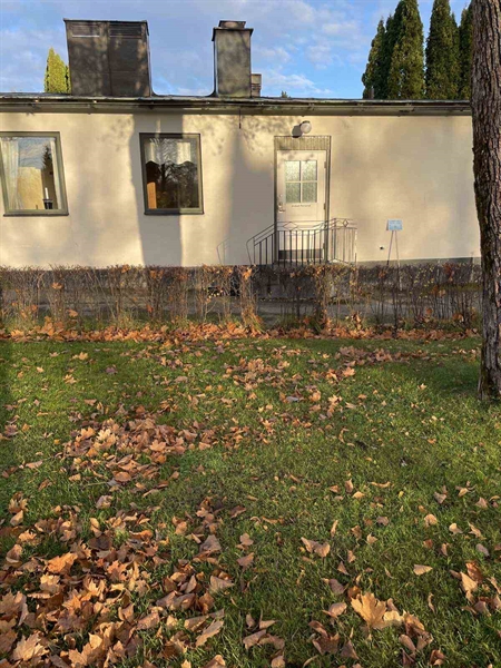 Gravnummer: GK F 2   163