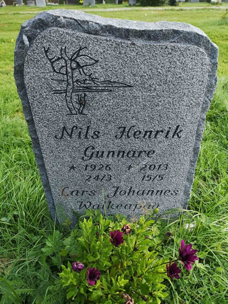 Hautatunnus: NK 20    30-31