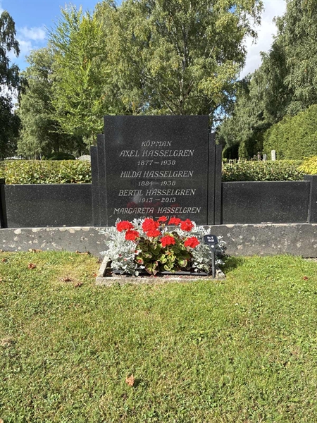 Grave number: 33 6    19-20