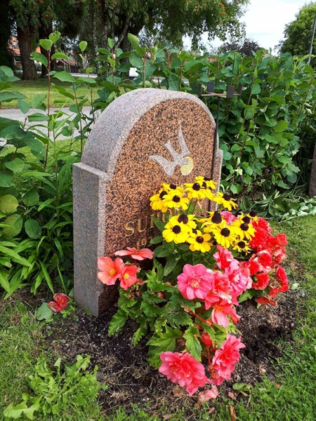 Hautatunnus: NK F C    86