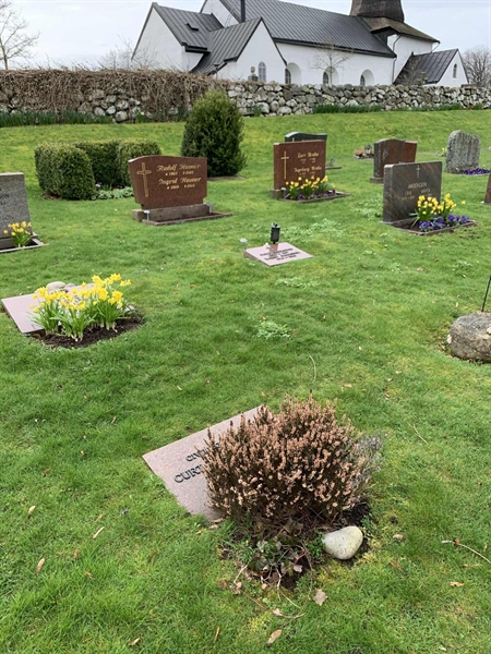 Grave number: SÖ N   102