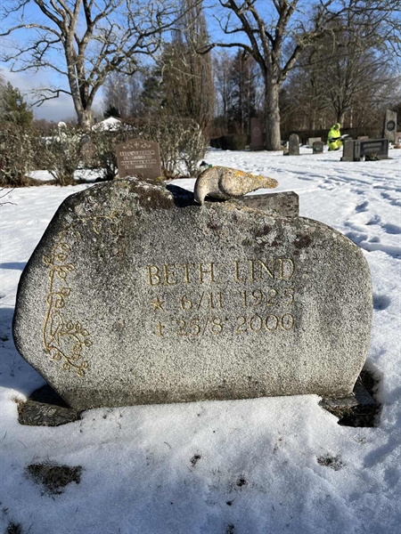 Gravnummer: SJ G    36