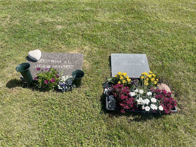 Gravnummer: 3 10   106-107