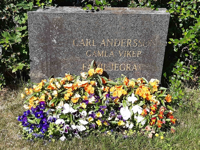 Grave number: VI 01   624