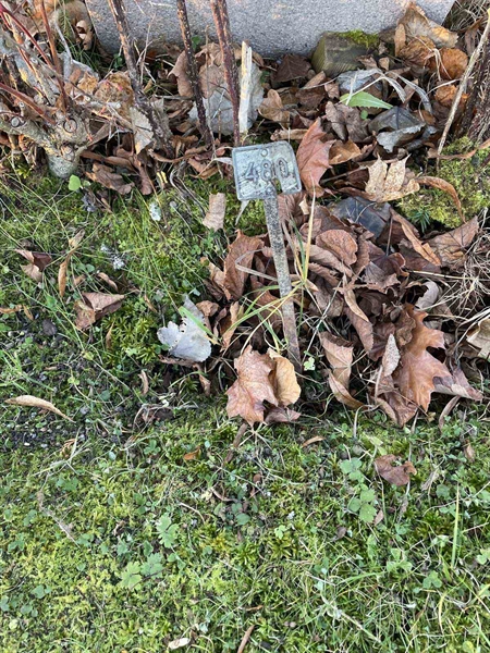 Gravnummer: GK A 3   480