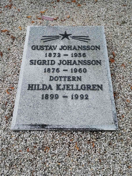 Grave number: NÅ 10   119, 120