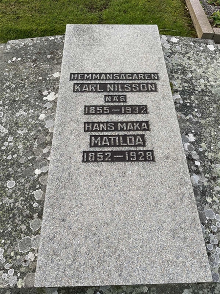 Hautatunnus: Vårv Kv1 10+11