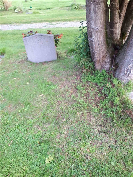 Gravnummer: NK A A   167