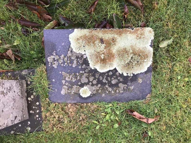 Grave number: LM 1 09  015