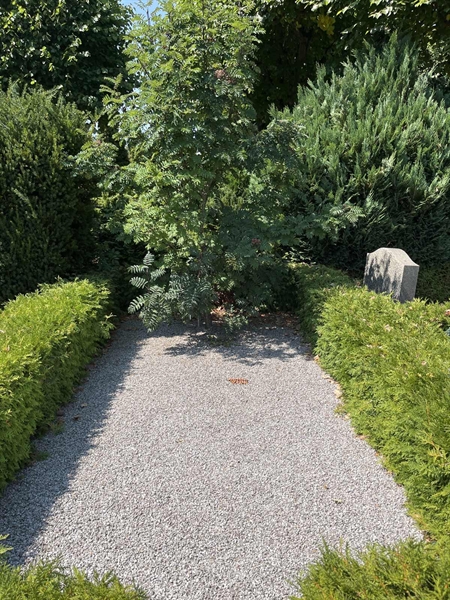 Grave number: NK VII     6