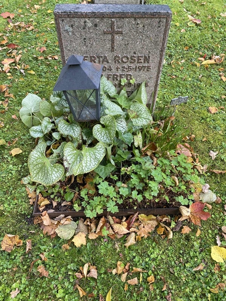 Hautatunnus: 1 H   185