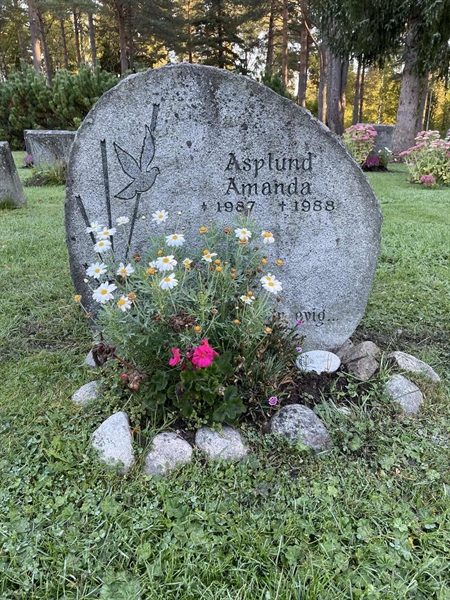 Gravnummer: 1 U6    47