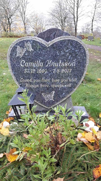 Grave number: FÄ 031   118