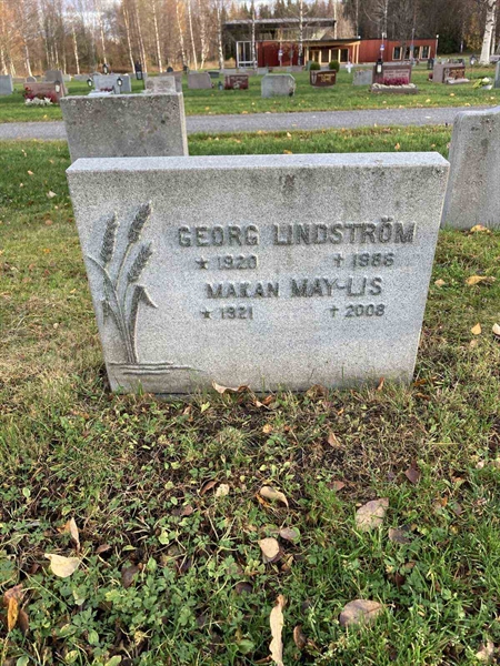 Grave number: 3  2124