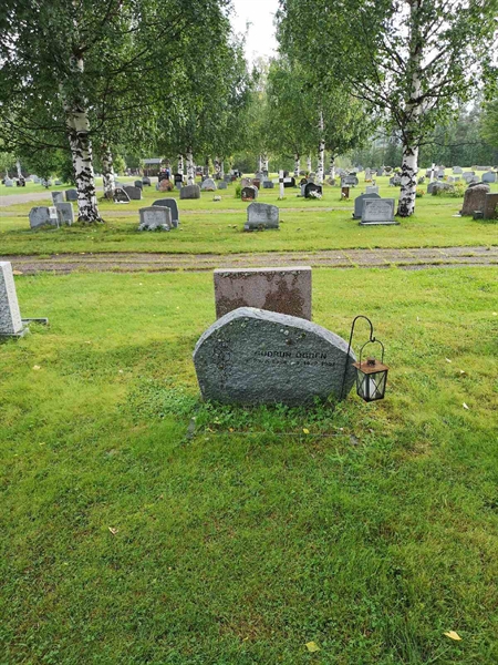 Hautatunnus: NK 17    59