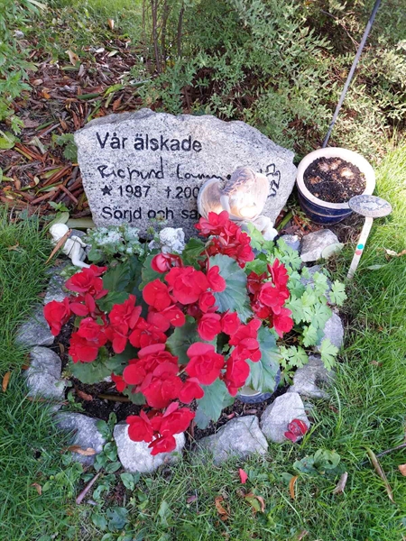 Hautatunnus: 1 D   017A