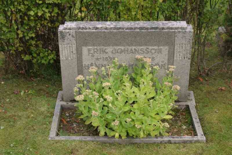 Grave number: 07 2   104-105